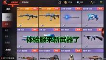 柯基测试爆料视频播放网站,热门内容与观看数据大曝光