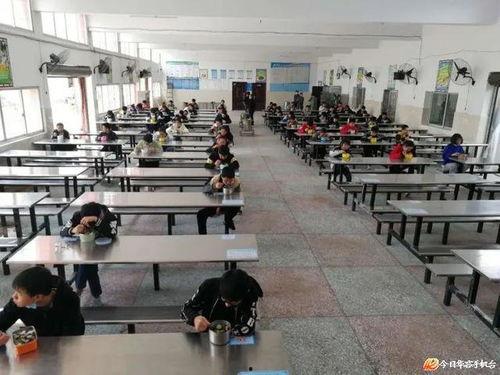 华容第五中学爆料事件视频,视频揭露惊人真相