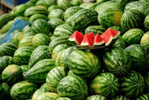 可以吃瓜的网红,揭秘网红们的美食盛宴 第2张 可以吃瓜的网红,揭秘网红们的美食盛宴 第2张