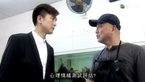 心理追凶在线观看国语,揭秘罪案背后的心理轨迹 第3张 心理追凶在线观看国语,揭秘罪案背后的心理轨迹 第3张