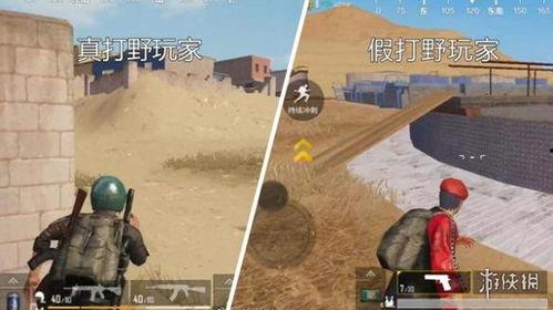 吃鸡沙漠爆料视频大全,吃鸡新版本爆料视频大盘点  第1张