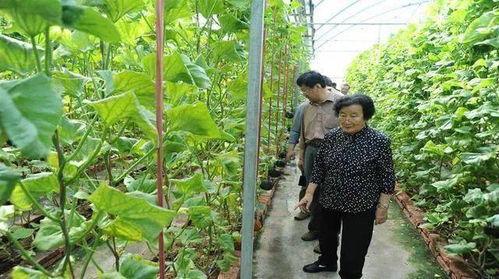 飞机吃瓜最新事件爆料是真的吗,最新爆料真相揭秘 第3张 飞机吃瓜最新事件爆料是真的吗,最新爆料真相揭秘 第3张