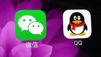qq吃瓜群免费7359,免费畅享7359精彩瞬间 第3张 qq吃瓜群免费7359,免费畅享7359精彩瞬间 第3张