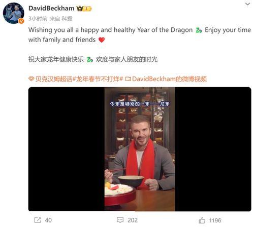 爆料小贝的视频大全集播放,精彩瞬间回顾