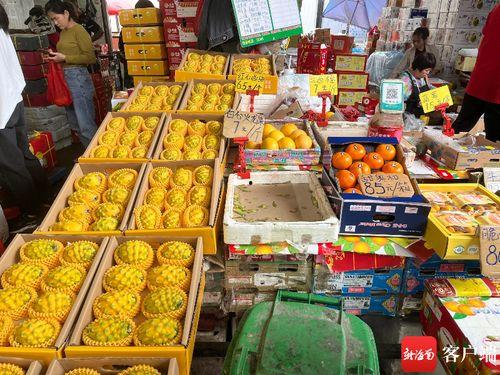 海南水果市场爆料视频,新鲜爆满,热带风情尽享一“果” 第1张 海南水果市场爆料视频,新鲜爆满,热带风情尽享一“果” 第1张