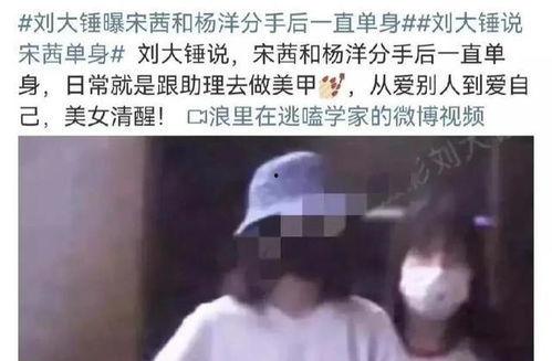 刘大锤爆料谈恋爱了吗视频,揭秘他与神秘女友的甜蜜瞬间 第3张 刘大锤爆料谈恋爱了吗视频,揭秘他与神秘女友的甜蜜瞬间 第3张