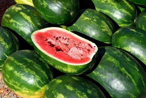免费吃瓜图片,视觉盛宴来袭,一起探索美食与视觉的完美融合 第2张 免费吃瓜图片,视觉盛宴来袭,一起探索美食与视觉的完美融合 第2张