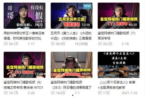 山东网红爆料新闻事件视频,揭秘背后真相