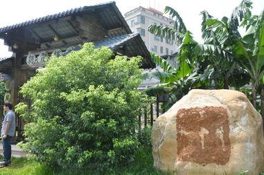 爆料违建的新闻,揭露背后利益链与监管漏洞 第1张 爆料违建的新闻,揭露背后利益链与监管漏洞 第1张