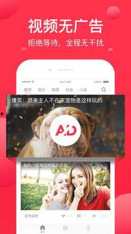 热点爆料进入西瓜视频,揭秘热点事件背后真相