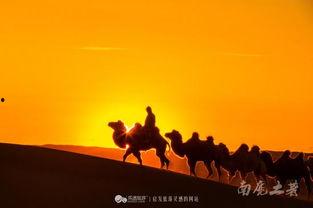 沙漠驼影在线观看,穿越荒漠的传奇之旅 第2张 沙漠驼影在线观看,穿越荒漠的传奇之旅 第2张