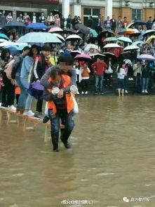 云浮新闻爆料大学生事故,校园安全警钟长鸣  第3张