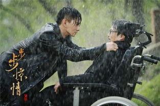 步步惊情在线观看,穿越时空的浪漫传奇