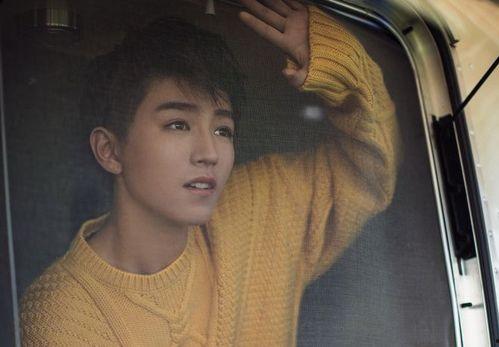 王俊凯爆料叔叔视频大全,叔叔视频大全背后的温馨故事 第2张 王俊凯爆料叔叔视频大全,叔叔视频大全背后的温馨故事 第2张