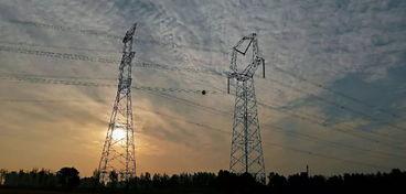 鲁山爆料最新消息新闻,揭秘事件背后惊人真相