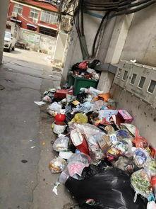 鲁山爆料最新消息新闻,揭秘事件背后惊人真相  第3张