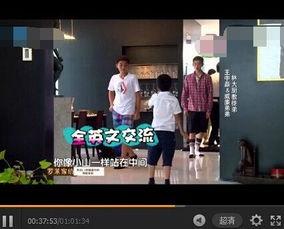 林子豪变形记在线观看,奇幻之旅，探寻自我蜕变之旅  第3张