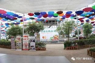 郑州旅游爆料最新消息,探寻古都新魅力，揭秘隐藏的旅游宝藏  第3张