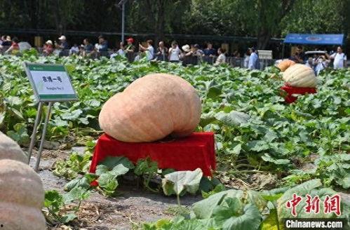 长春百花园爆料案件最新,揭秘背后惊人真相  第2张