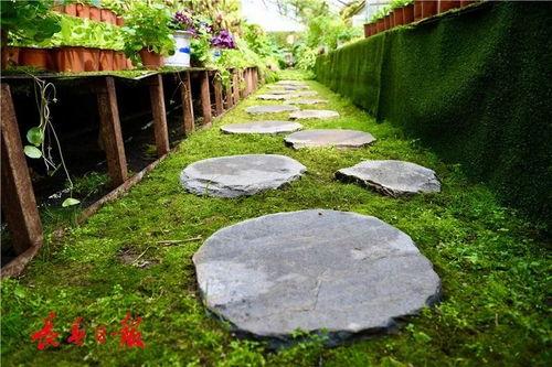 长春百花园爆料案件最新,揭秘背后惊人真相  第3张