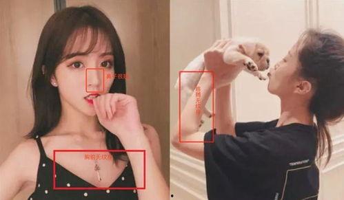 可莉爆料视频大全集播放,揭秘萌娃成长瞬间  第2张