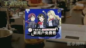 打野新皮肤爆料视频大全,视觉盛宴与技能解析  第2张