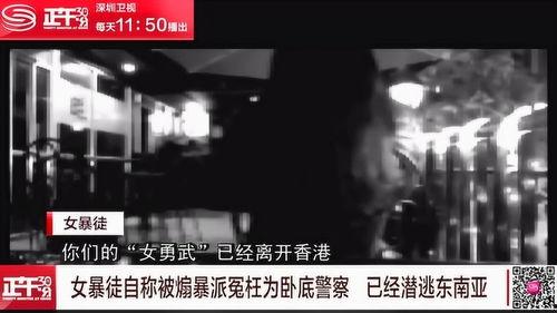 煽视频在线观看,在线观看背后的情感冲击与思考  第2张