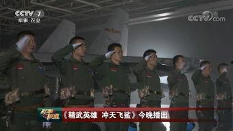 飞行员技能爆料视频,视频爆料背后的飞行奥秘  第2张