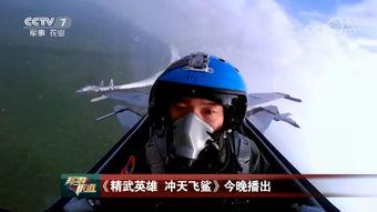 飞行员技能爆料视频,视频爆料背后的飞行奥秘  第3张