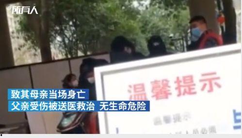 龙岗命案最新爆料,新证据揭露惊人真相  第3张