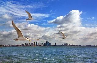 海阔天空在线观看,一场跨越时空的视觉盛宴