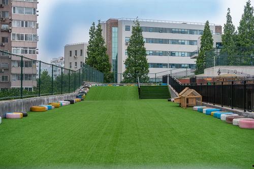 青岛幼儿园爆料事件最新,惊人内幕揭露幼儿教育乱象  第3张