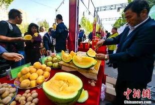 金寨吃瓜最新事件爆料  第2张