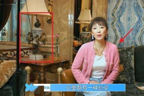 娱乐圈爆料君赵小棠,揭秘明星幕后故事  第2张