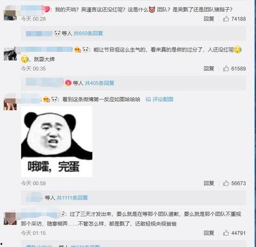 吴瑾言爆料视频,娱乐圈幕后真相大曝光  第2张