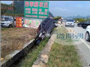 阳朔车祸最新爆料,事故原因揭秘，伤亡情况公布