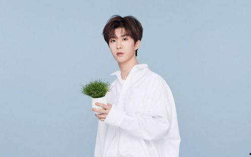 范丞丞和贾玲爆料视频大全,娱乐圈幕后趣闻一网打尽