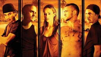 领头狗电影在线观看,勇闯巅峰的传奇之旅  第2张