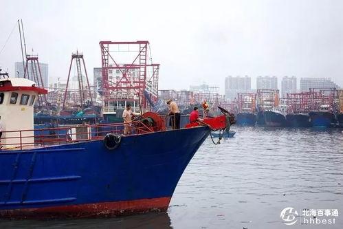爆料渔船视频播放大全,海量视频全景呈现海上捕捞瞬间
