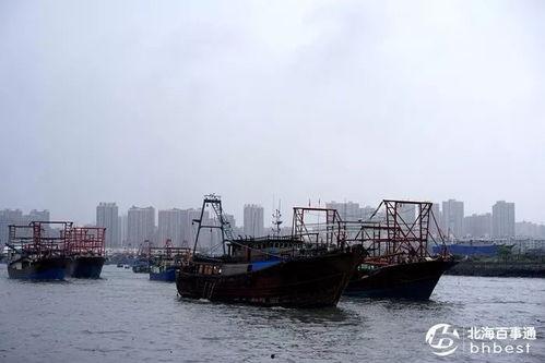 爆料渔船视频播放大全,海量视频全景呈现海上捕捞瞬间  第2张