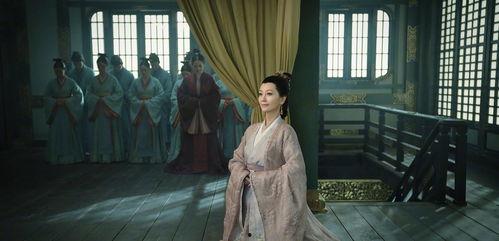 上阳赋最新爆料