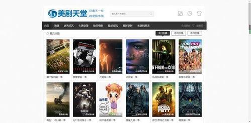 摄影师故事视频爆料网站,独家爆料背后的视觉奇遇  第2张