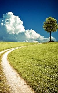 风景最新爆料图片高清无水印