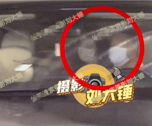 何穗陈伟霆爆料视频  第3张