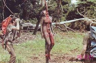 在线观看亚马逊食人族,揭秘神秘雨林中的恐怖传说  第3张