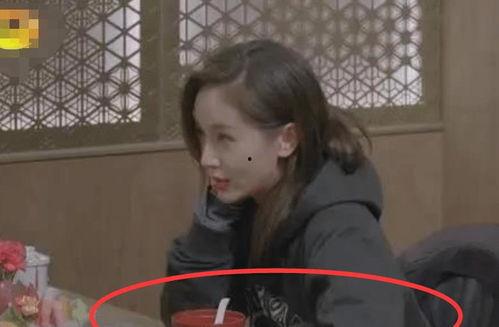 娱乐圈艺人暗戳戳爆料,揭秘幕后真相与恩怨情仇  第2张