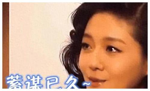 大陆娱乐圈爆料事件真相,揭秘幕后黑幕与真实内幕  第2张