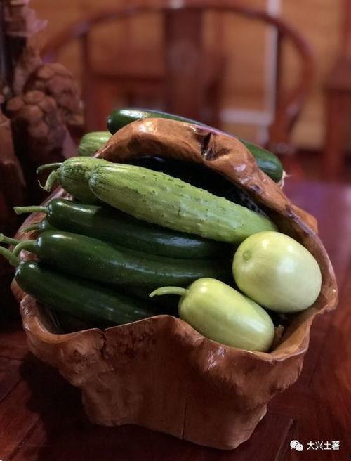 免费网红吃瓜网站地址,带你领略网络红人幕后故事  第3张