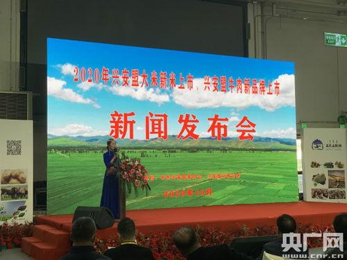 兴安盟爆料最新新闻,揭秘神秘事件背后的真相  第1张