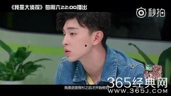 大真探在线观看,在线揭秘悬疑迷雾，探案之旅即将开启  第3张